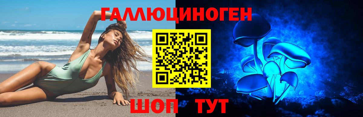 Псилоцибиновые грибы прущие грибы Тимашёвск